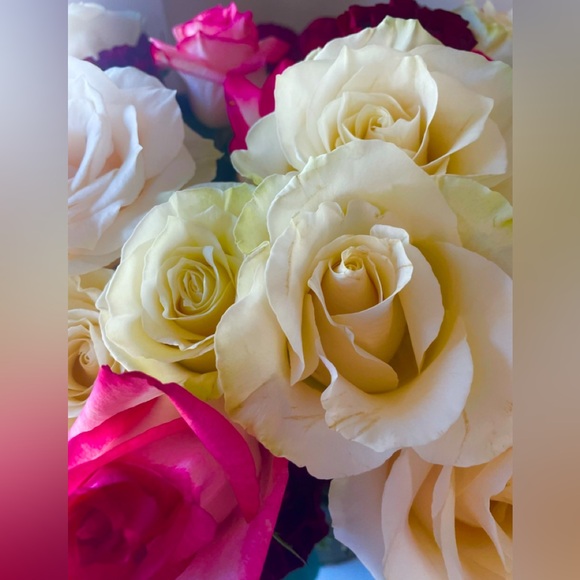 SHOP WITH ME - Picture 1 of 1